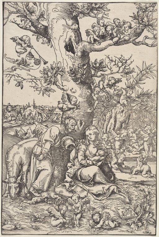 Art Print : Rest Harrow, 1739 - Vintage Wall Art