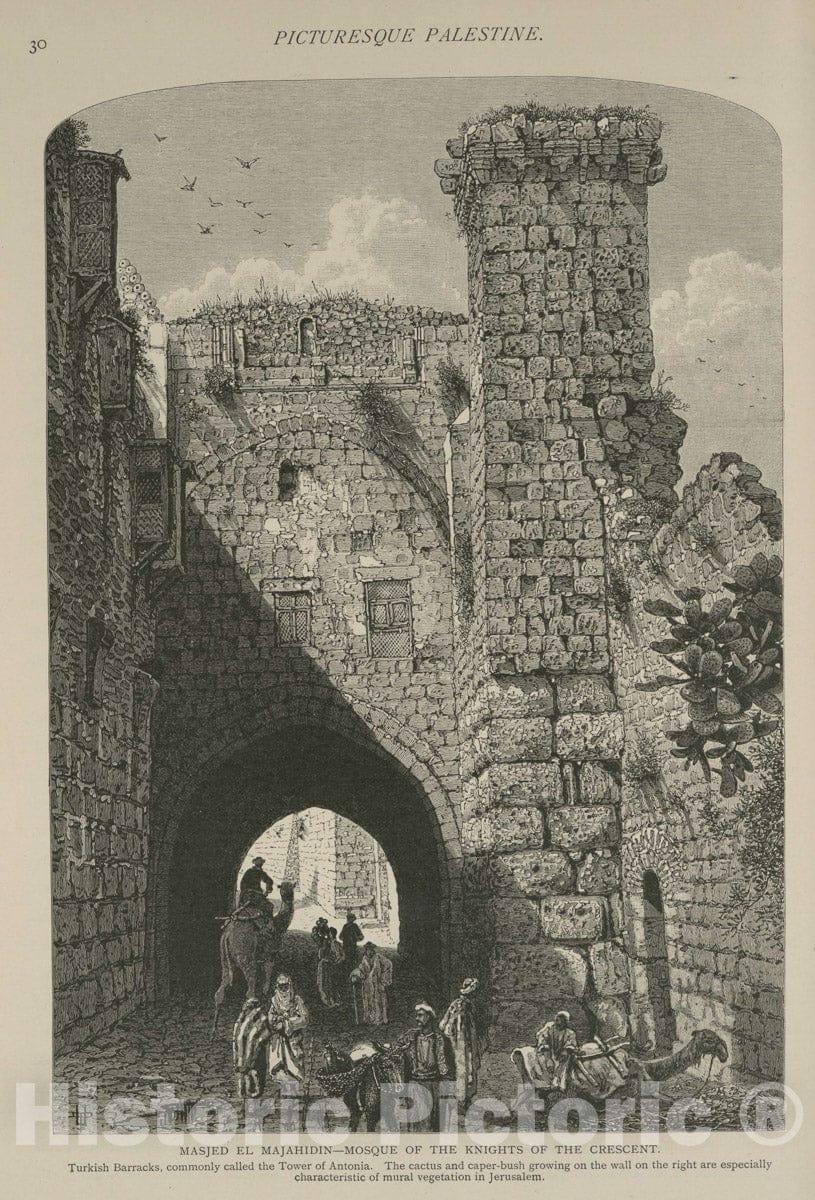 Art Print : 1881, Khan-ez-Zait, The Great Bazaar of The Oil Merchants, from The South - Vintage Wall Art