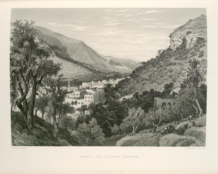 Art Print : 1881, Nablus, The Ancient Shechem. - Vintage Wall Art