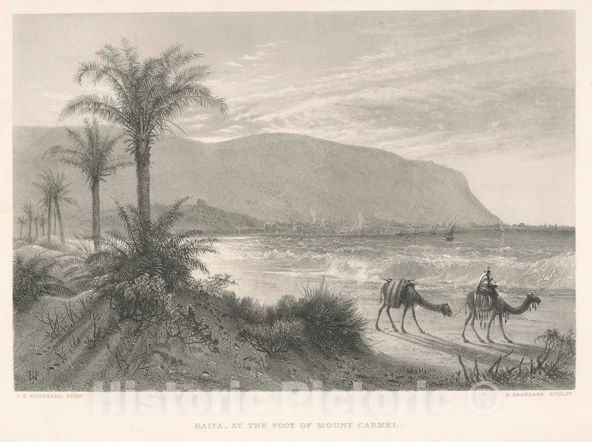 Art Print : 1881, Haifa, at The Foot of Mount Carmel. - Vintage Wall Art