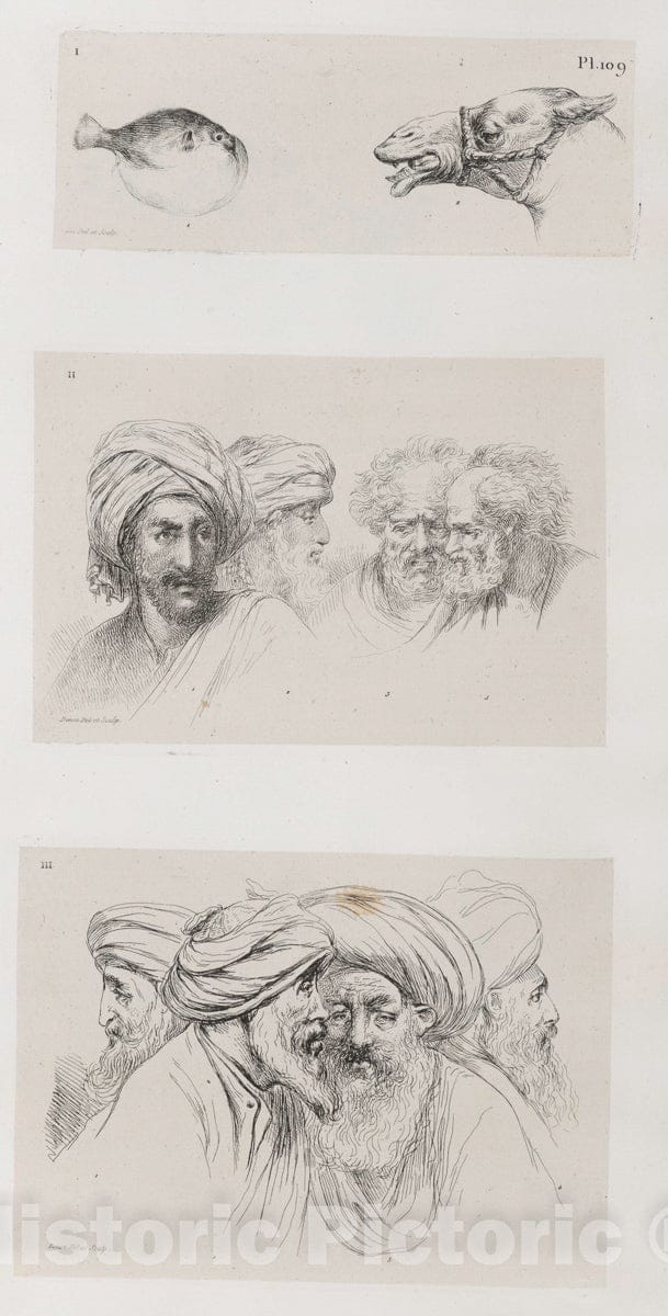 Art Print : 1829, [1. Un Poisson de Nil. 2. Etude d'une tAte de Chameau 3. Qatre Arabes.] - Vintage Wall Art