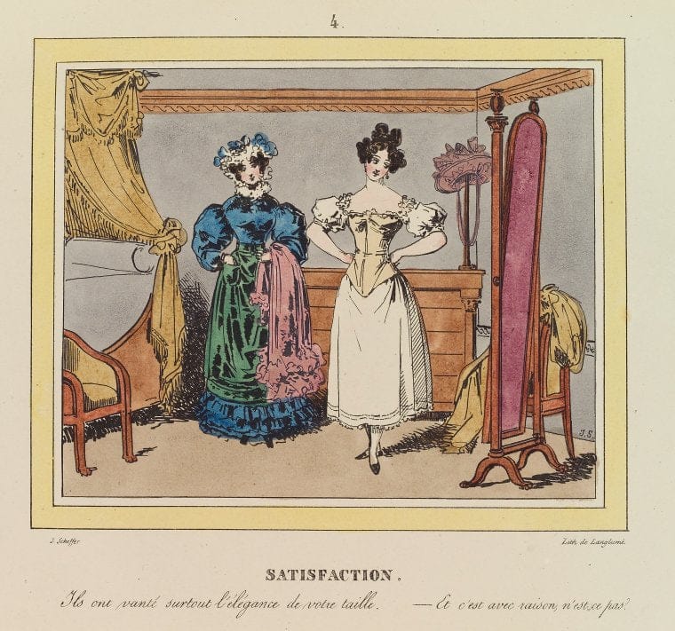 Art Print : Sassafrass, 1739 - Vintage Wall Art