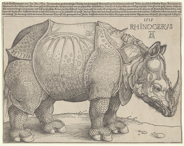 Art Print : The Rhinoceros, 1515 - Vintage Wall Art