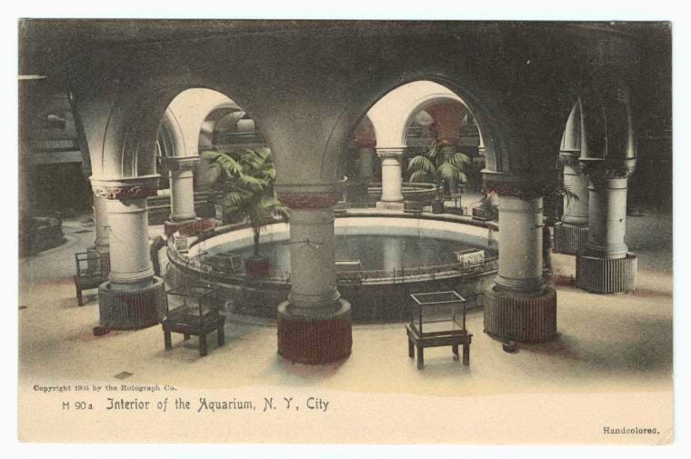 Art Print : Interior of The Aquarium, N.Y. City, 1905 - Vintage Wall Art