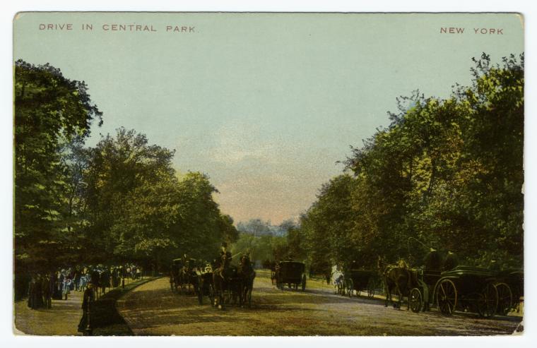 Art Print : Drive in Central Park. New York, 1908 - Vintage Wall Art