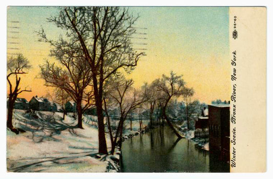 Art Print : Winter Scene, Bronx River, New York, 1910 - Vintage Wall Art