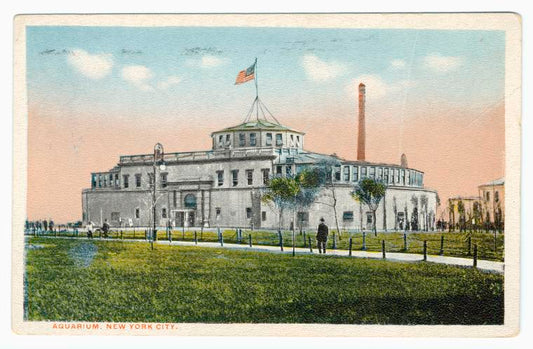 Art Print : Aquarium. New York City, 1915 - Vintage Wall Art
