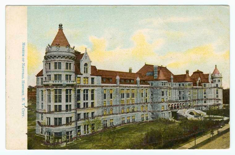 Art Print : Museum of Natural History, N. Y. City, 1906 - Vintage Wall Art