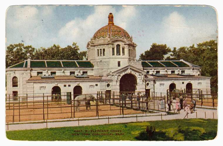 Art Print : Elephant House. New York Zoological Park, 1908 - Vintage Wall Art