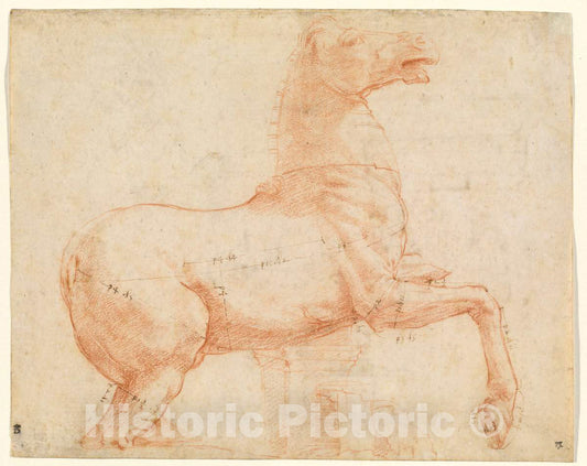 Art Print : Raphael, A Marble Horse on The Quirinal Hill [Recto], c. 1513 - Vintage Wall Art
