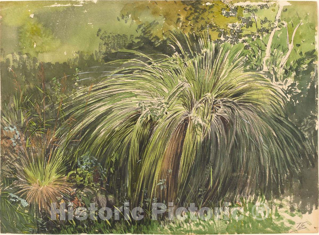 Art Print : Themistocles von Eckenbrecher, A Corner of a Meadow with Fountaingrass, c. 1870 - Vintage Wall Art