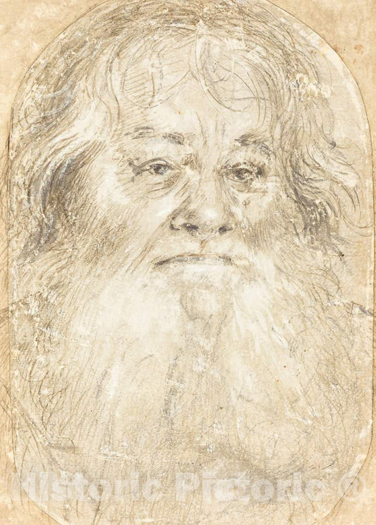 Art Print : Hans Holbein The Elder, Study of a Bearded Man [Verso], c.1509 - Vintage Wall Art