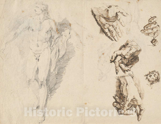 Art Print : Francesco Fontebasso, Apollo and Studies of The Artist's Own Hand [Recto], c. 1740 - Vintage Wall Art
