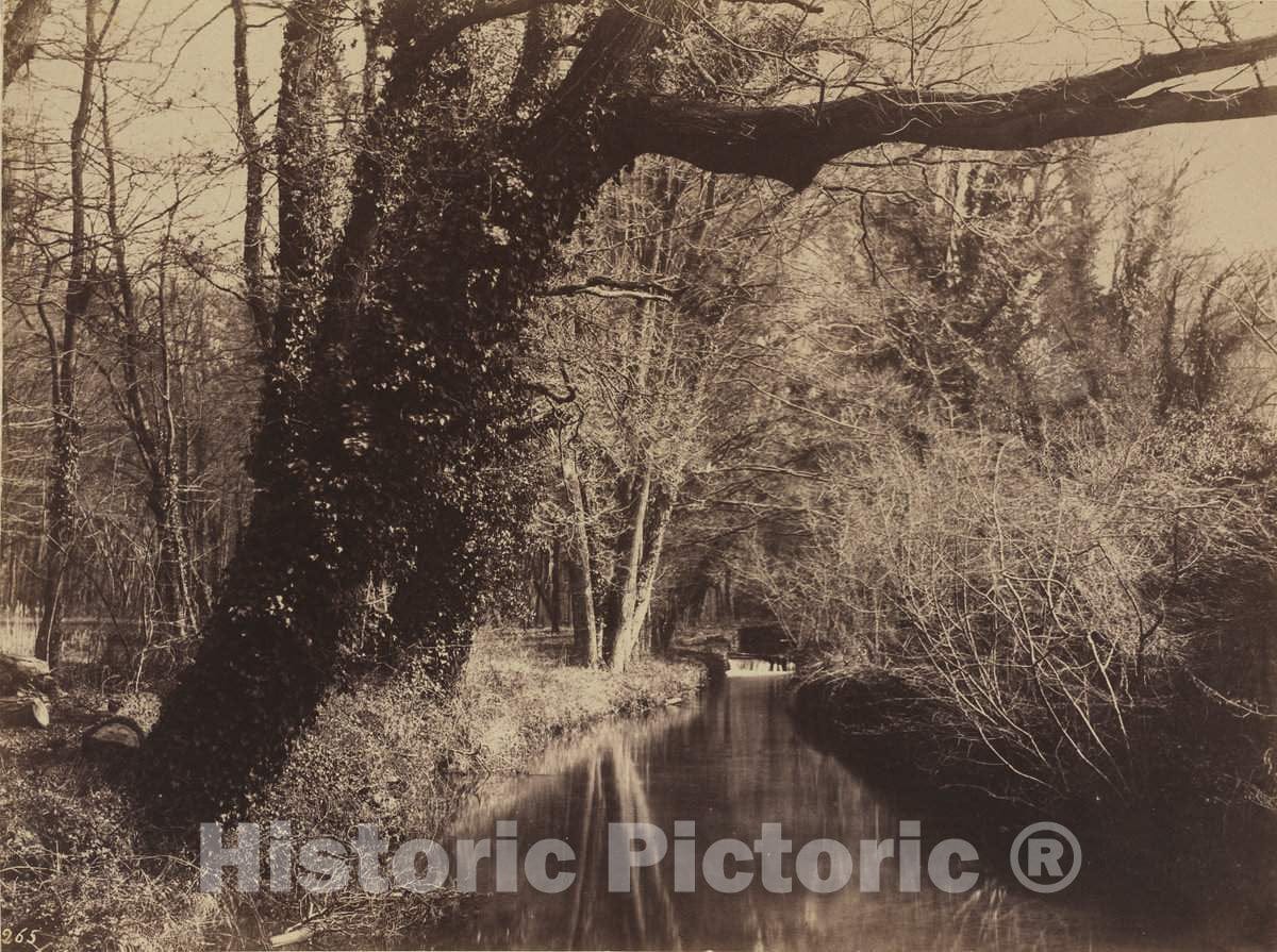 Art Print : EugÃ¨ne Cuvelier, PARC de Courances, Late 1850s - Vintage Wall Art