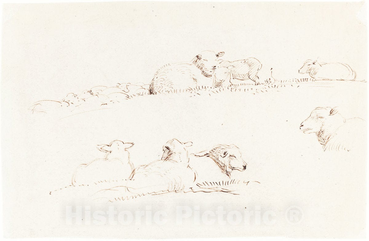 Art Print : George Richmond, Studies of Sheep in Pasture, c.1838 - Vintage Wall Art