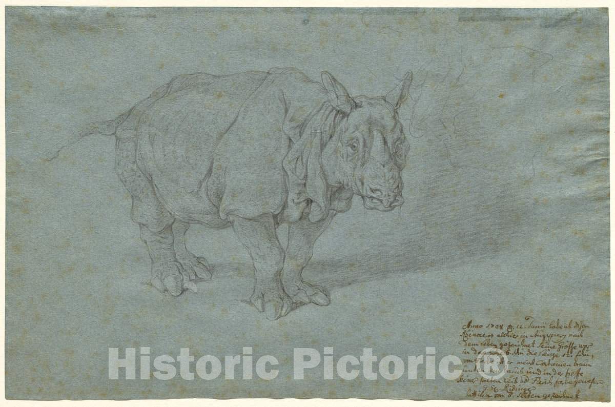 Art Print : Johann Elias Ridinger, The Rhinoceros Miss Clara, 1748 - Vintage Wall Art