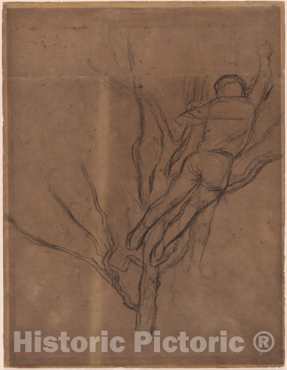 Art Print : Edgar Degas, Man Pruning a Tree - Vintage Wall Art