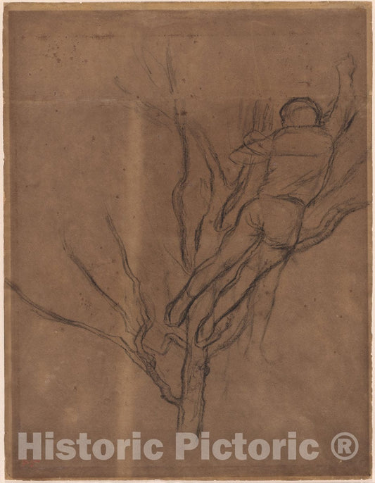 Art Print : Edgar Degas, Man Pruning a Tree - Vintage Wall Art