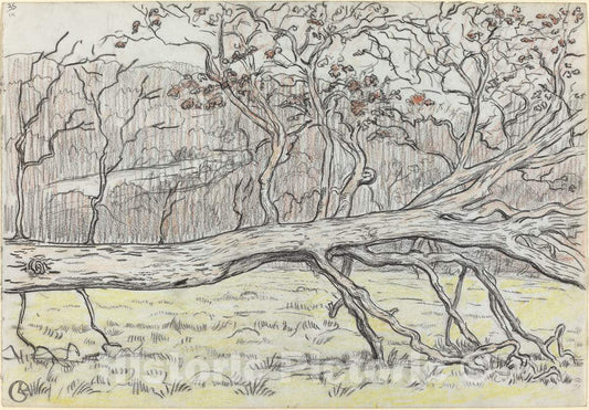 Art Print : Georges Lacombe, Felled Tree, Normandy, 1898 - Vintage Wall Art