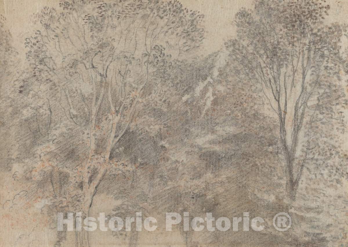 Art Print : Antoine Watteau, Treetops [Verso] - Vintage Wall Art