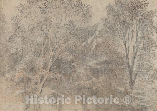 Art Print : Antoine Watteau, Treetops [Verso] - Vintage Wall Art