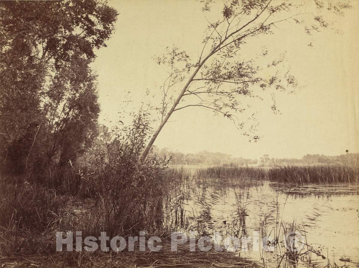 Art Print : EugÃ¨ne Cuvelier, Marais de Fampoux, 1860s - Vintage Wall Art