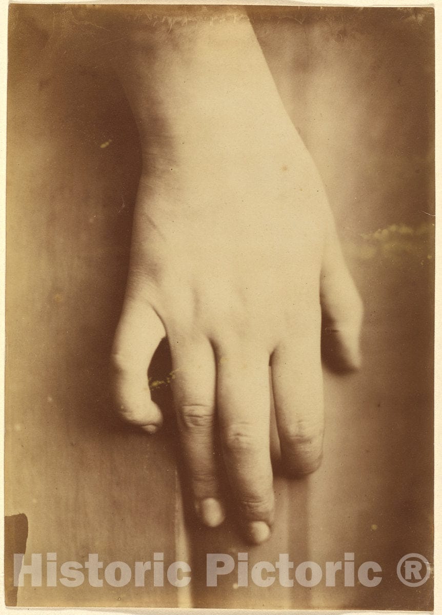 Art Print : Study of a Hand, 1865 - Vintage Wall Art