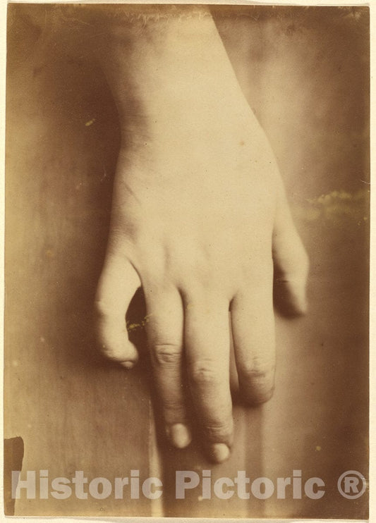 Art Print : Study of a Hand, 1865 - Vintage Wall Art
