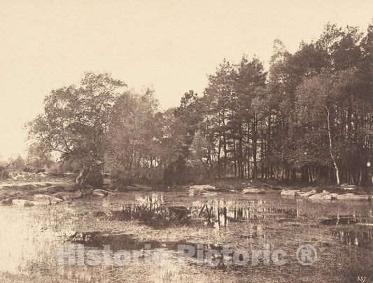 Art Print : EugÃ¨ne Cuvelier, Marsh at Piat (Belle-Croix Plateau), c. 1863 - Vintage Wall Art