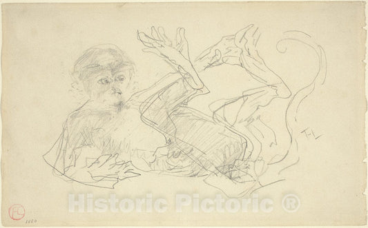 Art Print : Henri de Toulouse-Lautrec, A Monkey Playing on His Back, 1880 - Vintage Wall Art