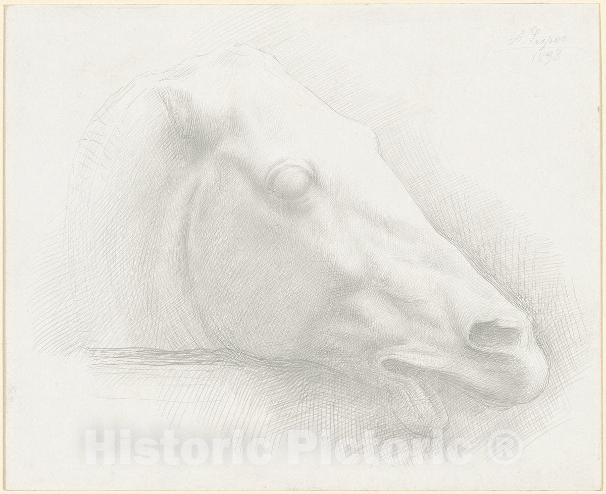 Art Print : Alphonse Legros, Head of a Horse from The Antique, 1898 - Vintage Wall Art