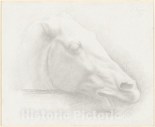 Art Print : Alphonse Legros, Head of a Horse from The Antique, 1898 - Vintage Wall Art