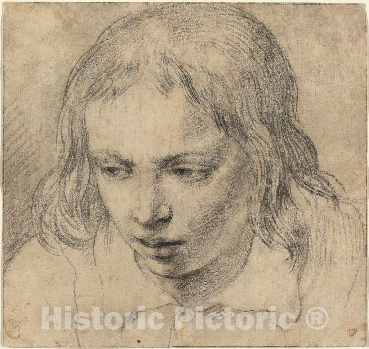 Art Print : Head of a Young Man [Recto], c. 1650 - Vintage Wall Art