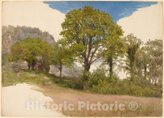 Art Print : John Henry Hill, Trees Profiled Against The Sky, c. 1865 - Vintage Wall Art