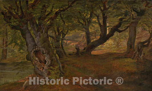 Art Print : Frederik SÃ¸dring, View of Bregentved Forest, Sjaeeland, mid 1830s - Vintage Wall Art