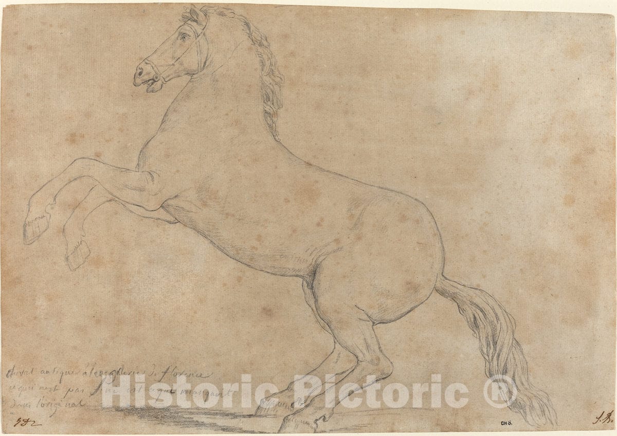 Art Print : Jacques-Louis David, an Antique Sculpture of a Horse, 1780 - Vintage Wall Art