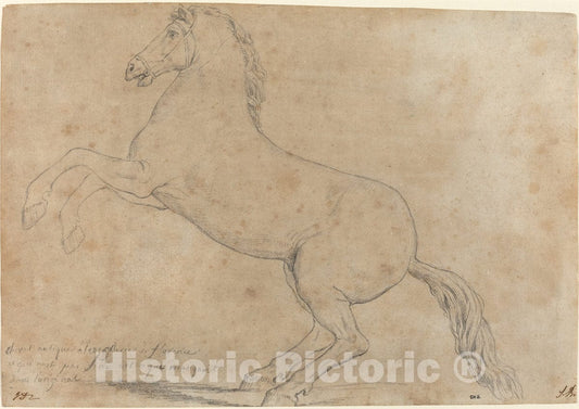 Art Print : Jacques-Louis David, an Antique Sculpture of a Horse, 1780 - Vintage Wall Art