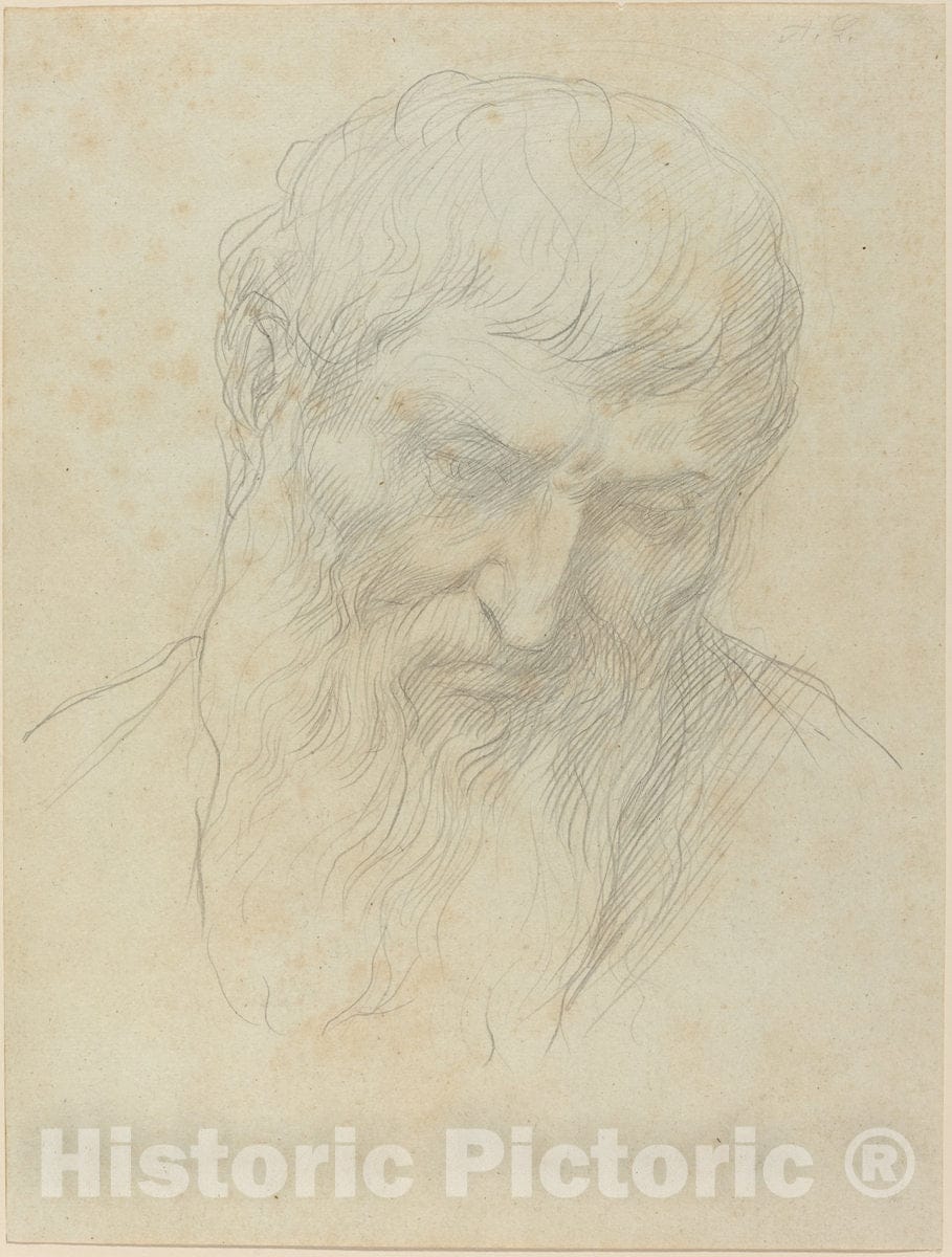 Art Print : Alphonse Legros, Head of a Man with Curly Hair and Beard - Vintage Wall Art