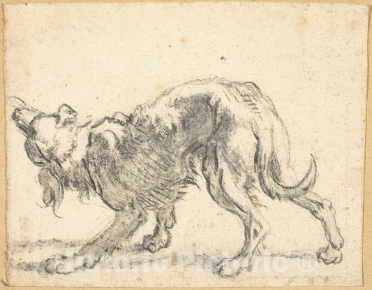 Art Print : Cornelis Saftleven, A Dog, 1660s? - Vintage Wall Art