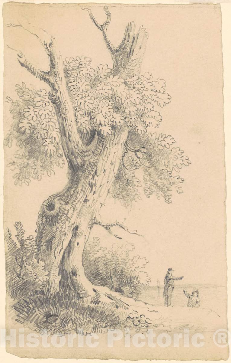 Art Print : Clonney, Tree Near The Shore, c. 1830-1835 - Vintage Wall Art