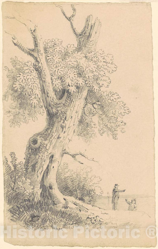 Art Print : Clonney, Tree Near The Shore, c. 1830-1835 - Vintage Wall Art