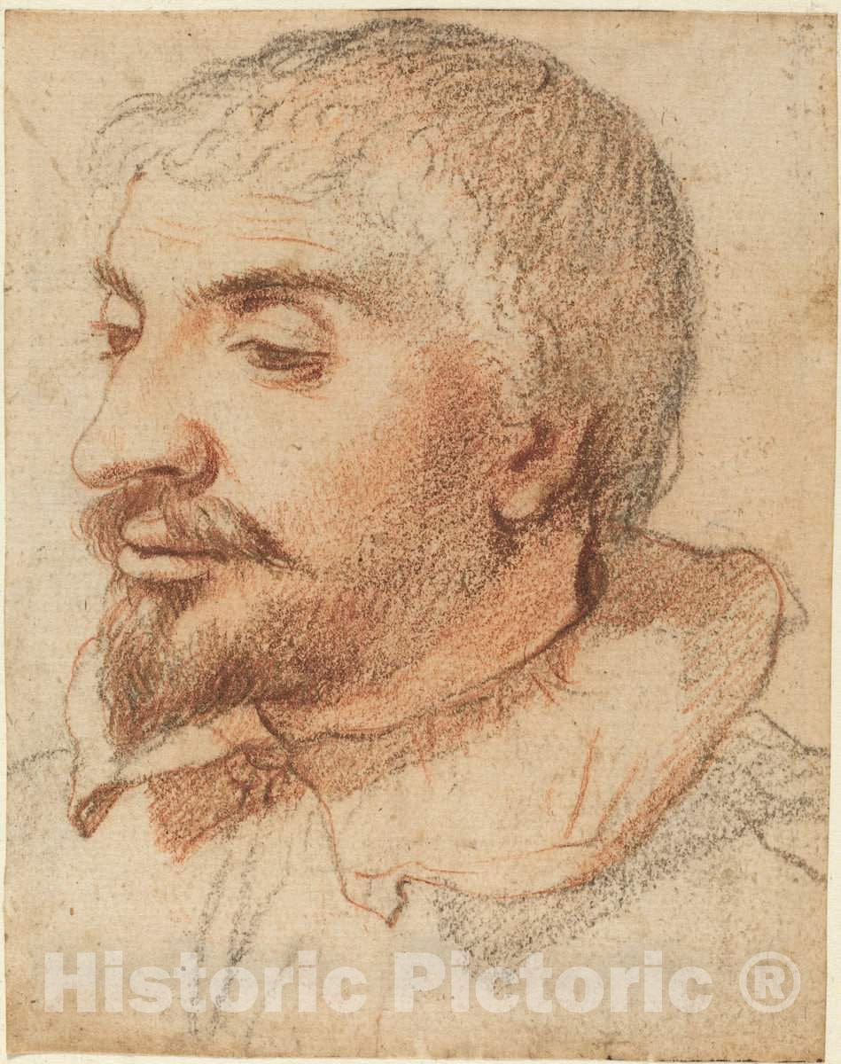 Art Print : Head of a Man, c. 1600 - Vintage Wall Art