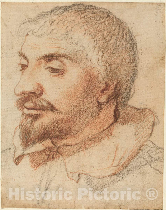 Art Print : Head of a Man, c. 1600 - Vintage Wall Art