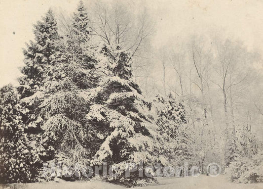 Art Print : Baron A. Fays, Paysage de sapins Sous la Neige, c. 1852 - Vintage Wall Art