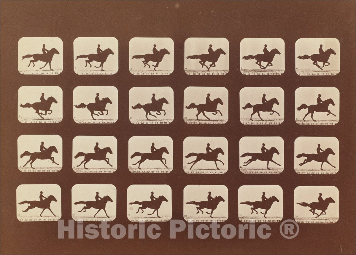 Art Print : Eadweard Muybridge, Horses. Running. Phyrne L. No. 40, 1879 - Vintage Wall Art