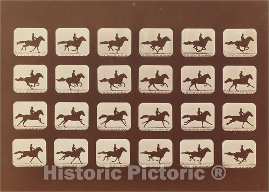 Art Print : Eadweard Muybridge, Horses. Running. Phyrne L. No. 40, 1879 - Vintage Wall Art