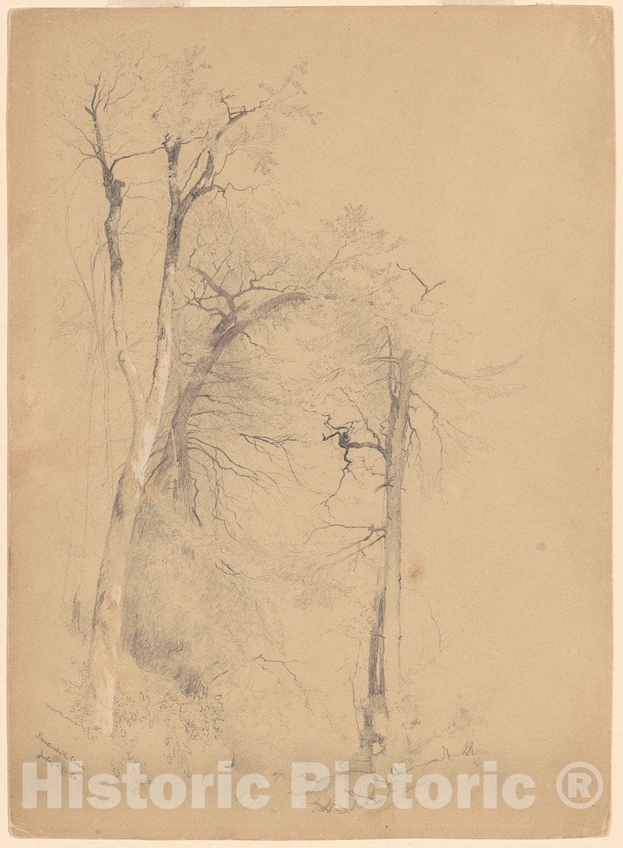 Art Print : Jervis McEntee, Kauterskill Clove, 1860 - Vintage Wall Art