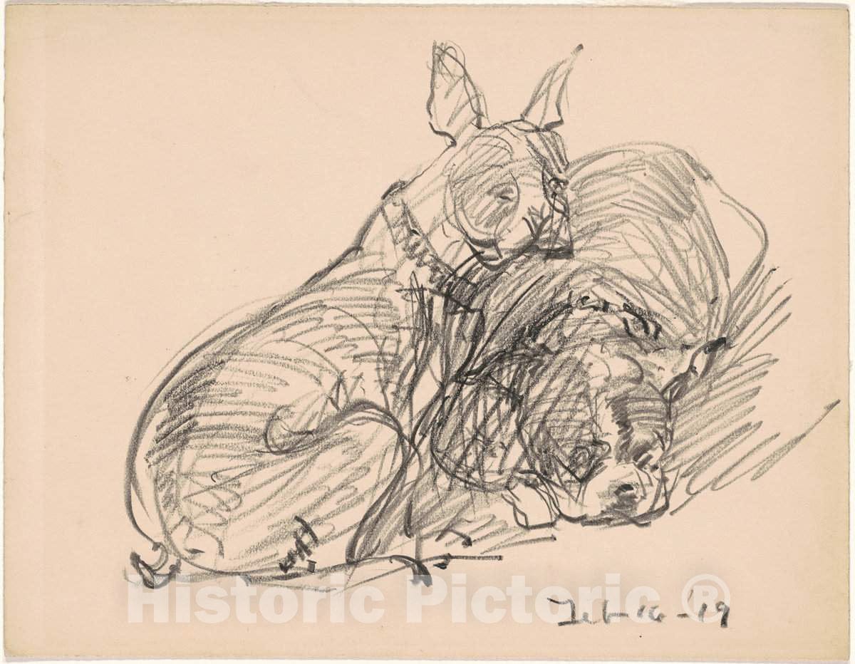 Art Print : Charles H. Woodbury, Two Dogs, 1919 - Vintage Wall Art
