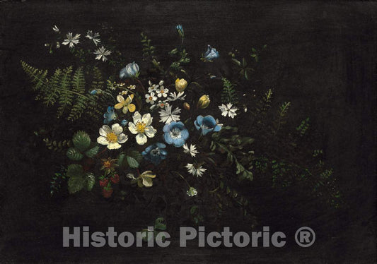 Art Print : Titian Ramsay Peale, Spray of Flowers and Ferns, Date Unknown - Vintage Wall Art