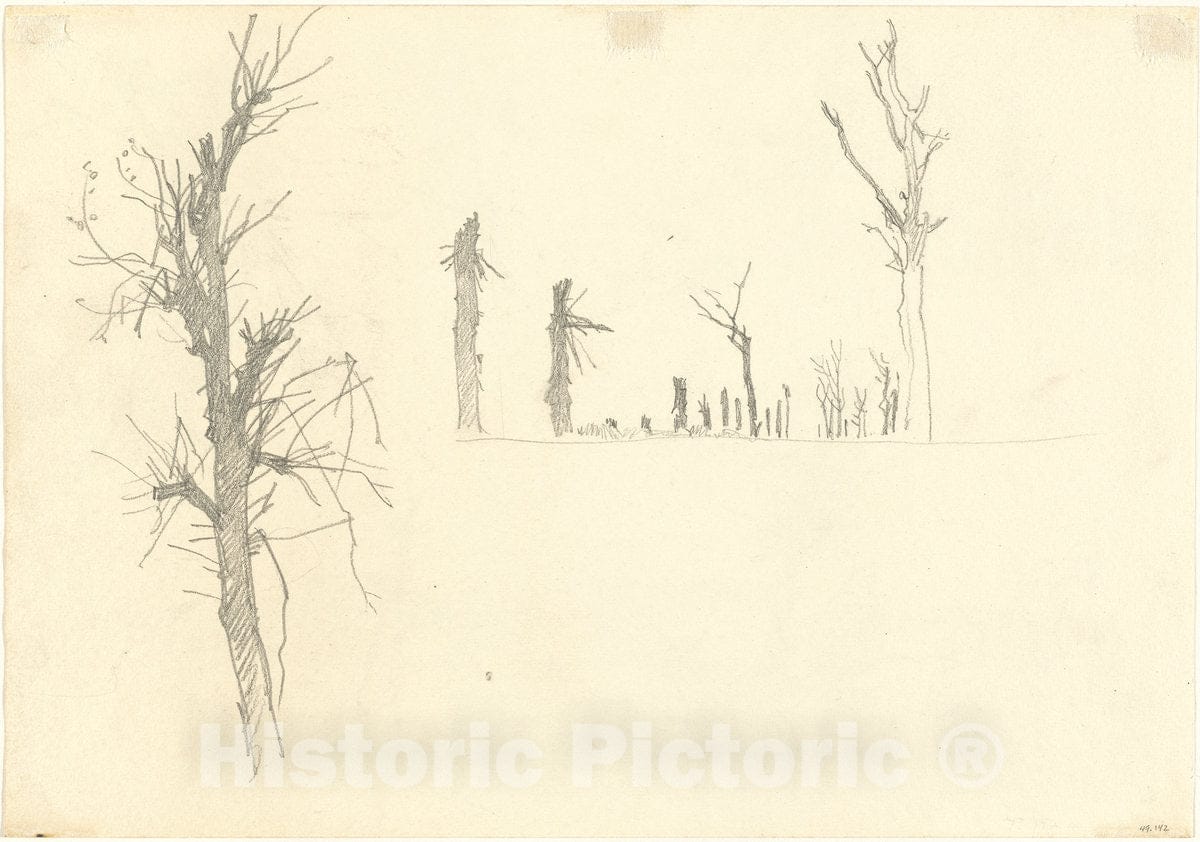 Art Print : John Singer Sargent, Devastated Trees [Verso], 1918 - Vintage Wall Art